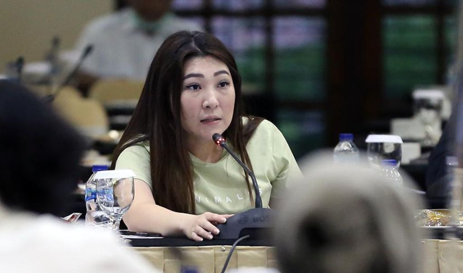 Viani Limardi Bantah Tuduhan Penggelembungan Dana Reses: Itu Fitnah